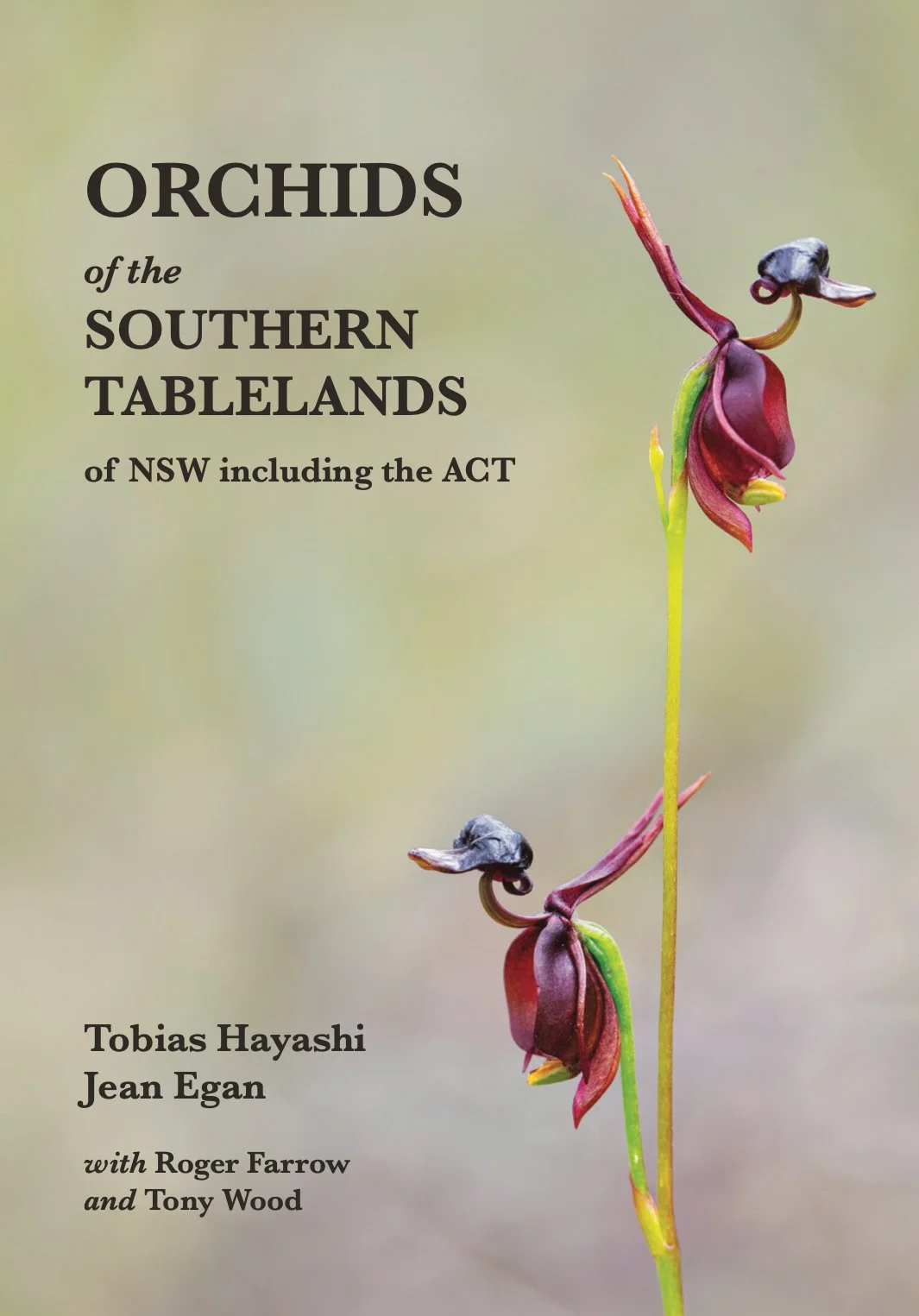 Orchids of the Southern Tablelands — TOBIAS HAYASHI